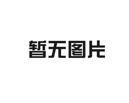 大連GXS系列工業(yè)型干式真空泵